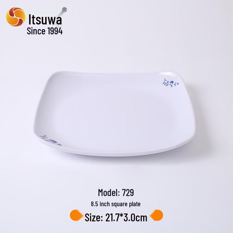 WHE Commercial Melamine Square Plate