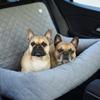 Large Dog Car Seat XL Beige