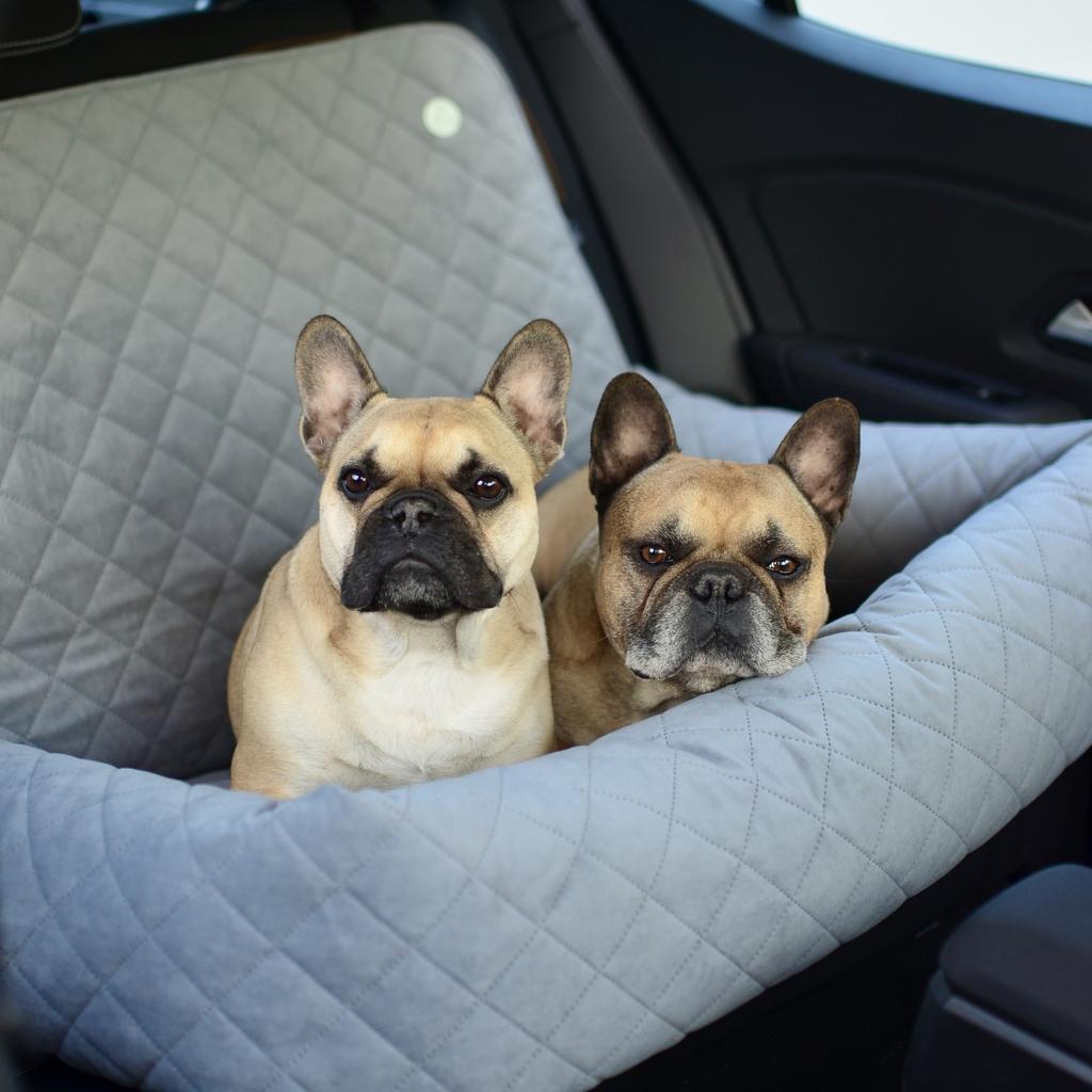 Large Dog Car Seat XL Beige