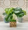Small Artificial Silk Plants Décor For Home, Table, Office Desk, One Plant