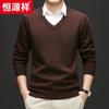 Hengyuanxiang Men's Thickened 100% Fine Wool V-Neck Sweater