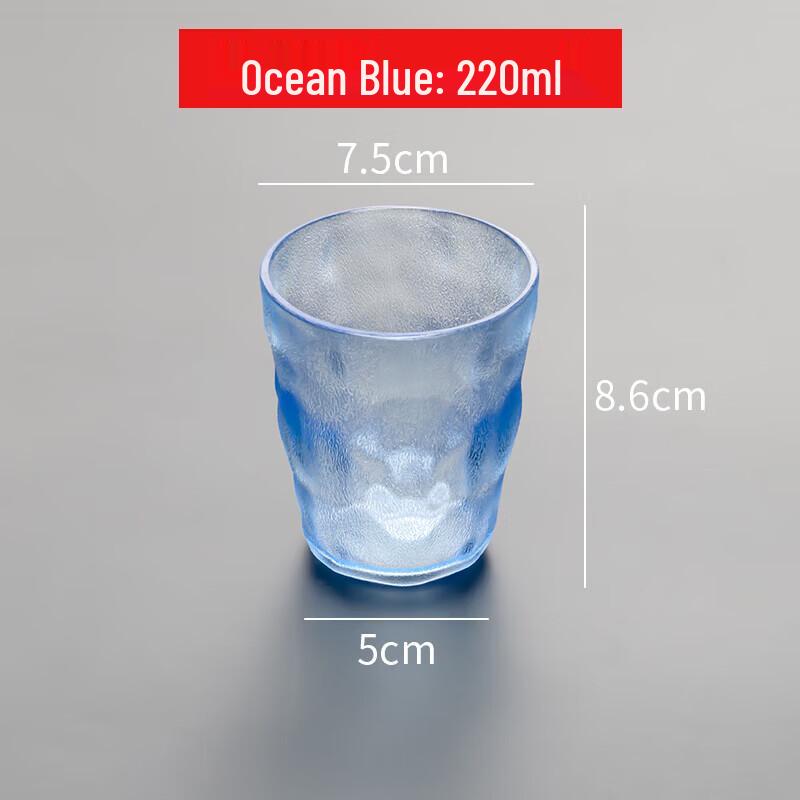 Homeglen Frosted Acrylic Beverage Tumbler, 220ml