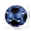 Hamburger Sportverein 2 Indoor Soccer Ball Colorful Machine Stitched PVC Size 5 Team Training Competition Ready Durable High-Bounce Cool Sports Gift