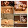 6pcs Reusable Chicken Nesting Pads 30*30cm Hens Nesting Pad New Poultry Supplies  Laying Eggs