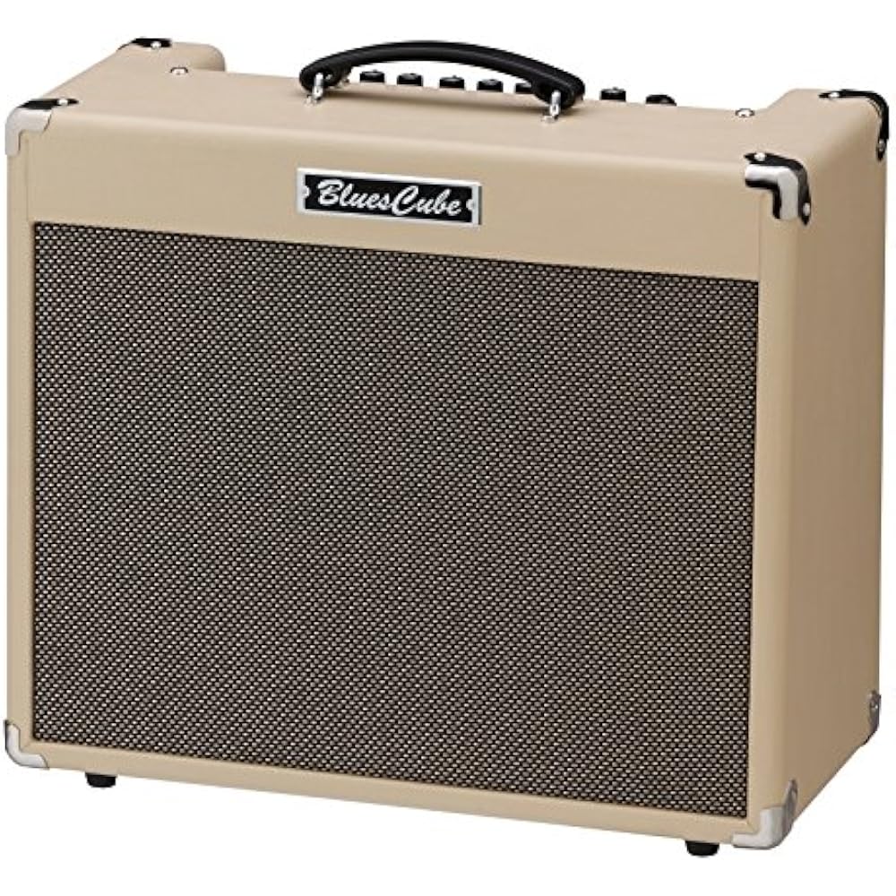 Roland/Blues Cube Stage Roland 60W Guitar Combo Amp Blues Cube