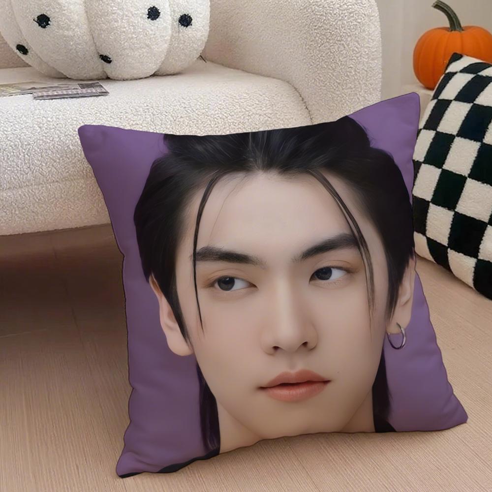 Thai actor BBoss Chaikamons star Cushion Cover Throw Pillow Cover Hidden Button Durable Polyester Chair Cushion