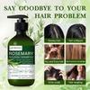 Rosemary Shampoo-Boosts Scalp, Stremgthen Hair For Fuller-looking Hair-Gentle Formula For Daily Use-Suitable For All Hair Types, 300ml