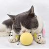 New Interactive Cat Training  Toy Ball Self-Hi Teasing Cat Stick Cat Mint Ball Teasing Cat Toy Ball Pet Toy Ball 2023