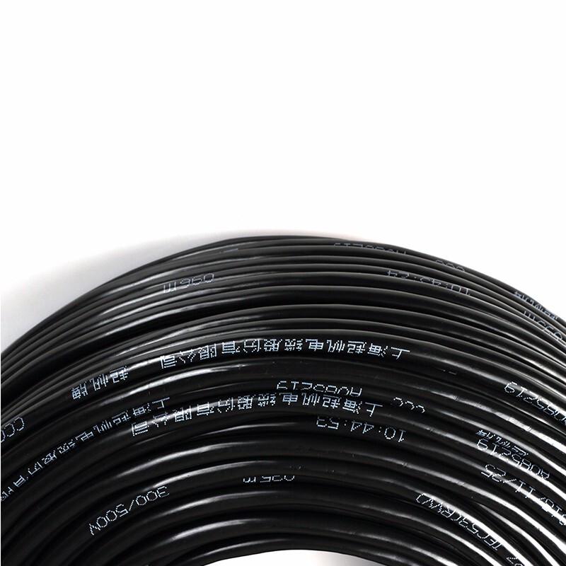 Qifan RVV 2-Core Power Cable