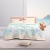 Mercury Home Textiles Huazhao Ruyue Antibacterial Summer Quilt