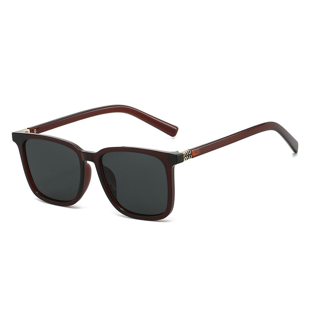 2025 New Square Oversized Sunglasses | Gold Accent Detail | Minimalist High-End Unisex Sun Glasses