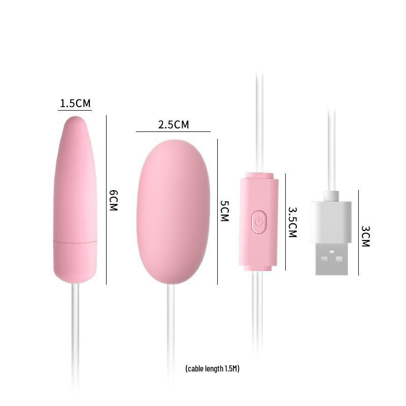 Lai Le USB Rechargeable Double Vibrating Tongue & Egg Adult Toy