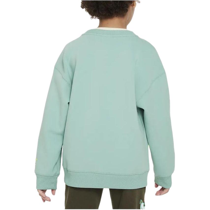 Nike Kids Sweatshirts Crew Neck Moderate FV2674-309