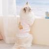 Pet Spring/Summer Lightweight Bear Patterned Lace Bralette Dress Vest Doggy Clothing Pet Clothing