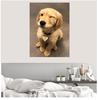 New 5D DIY Diamond Painting "pet Dog" Embroidery Square / Round Diamond Cross Stitch Diamond Mosaic Painting Decoration Gift