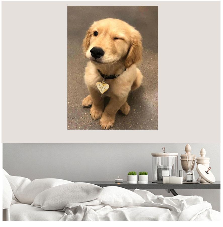 Nauja 5D „pasidaryk pats“ deimantinio paveikslo „naminis šuo“ siuvinėjimo kvadratas / apvalaus deimantinio kryžminio dygsnio deimantinės mozaikos tapybos dekoravimo dovana