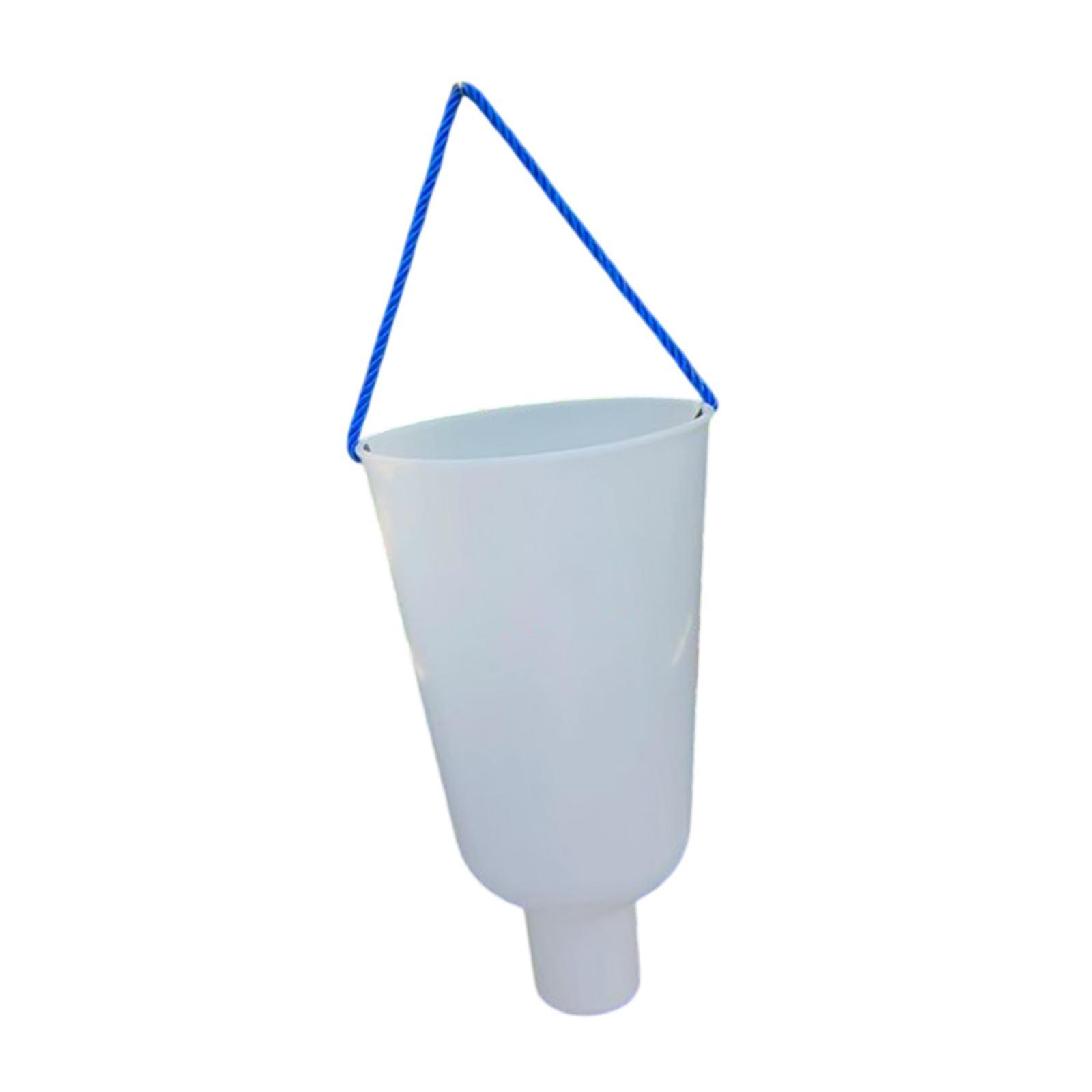 Uva diving cup of container roasts immersed by fruit for the garden of the S