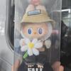 Muñecas y Peluches – Peluches