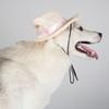 Retro Handgewebter Haustier Strohhut Sommer Kostüm Niedrige Katze Hund Sonnenschutz Mode Party Kopfschmuck Bauern Haustierhut für Welpen