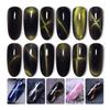 3D Cat Eye Effect Nail Art Magnet Stick UV Gel Polish Tegnepenn Manikyrverktøy