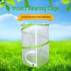 Foldable Portable Butterfly and Insect Breeding Cage with Large Hanging Net for Outdoor Use