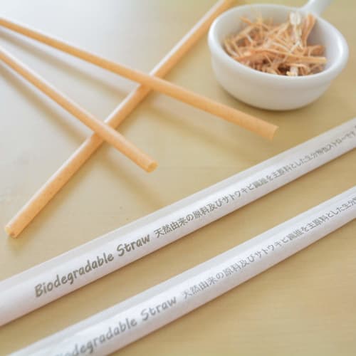Biodegradable Sugarcane Straws, 210mm Long, 6mm Diameter, Individually Wrapped In Paper, Pack of 200