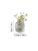 Transparent Glass Vases for Plant Bottle Flower Pot Nordic Creative Hydroponic Terrarium Arrangement Container Flower Table Vase