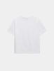 Denawo Crop Round Short Sleeve Tee - 3 Colors