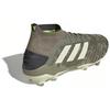 Adidas Predator 19.1 Fg 'Legacy Green' EF8205