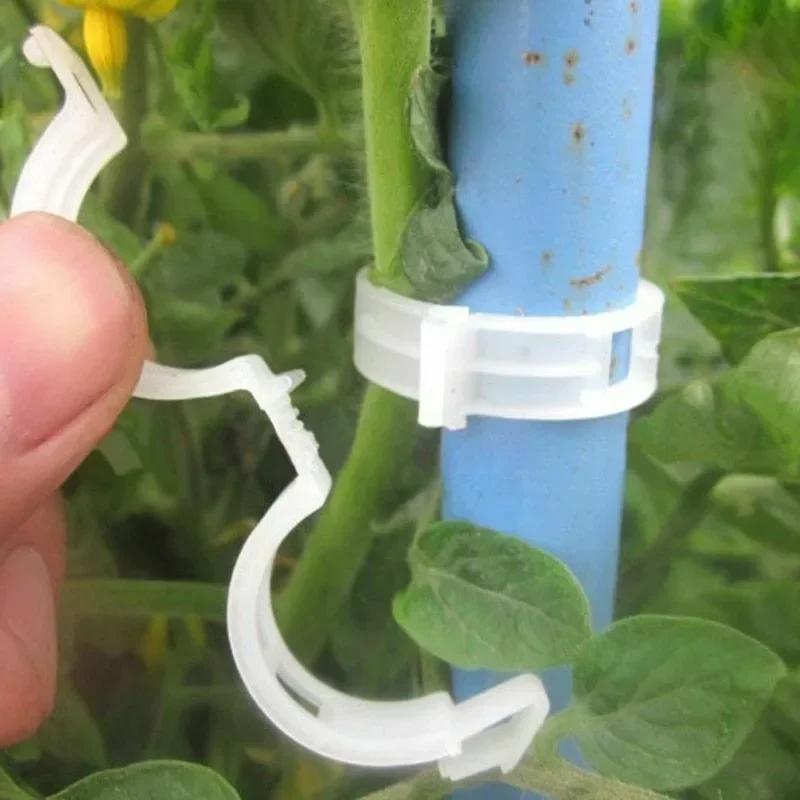 500/50PCS Plant Support Clips Reusable Plastic Connects Vine Fixing Clip Tomato Grape Vegetable Plants Holder Buckle Garden Tool