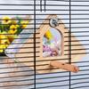 Yousheng Bird Nest Transparent Wood Bird House with Perch Easy Installation Hanging Bird Nesting Box Bird Cage Accessories