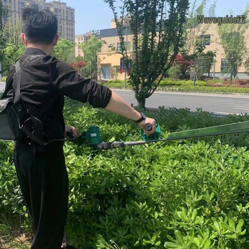 Qinyan Cordless Electric Pruning Shear & Hedge Trimmer CN Plug (adapter Included)
