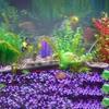 Aquarium Titanic Shipwreck Decorations,resin Material Ship Decorations,fish Tank Sunken Ship Ornament Aquarium Environment