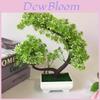 Artificial Chrysanthemum Miniature Green Plant Decor For Home Office