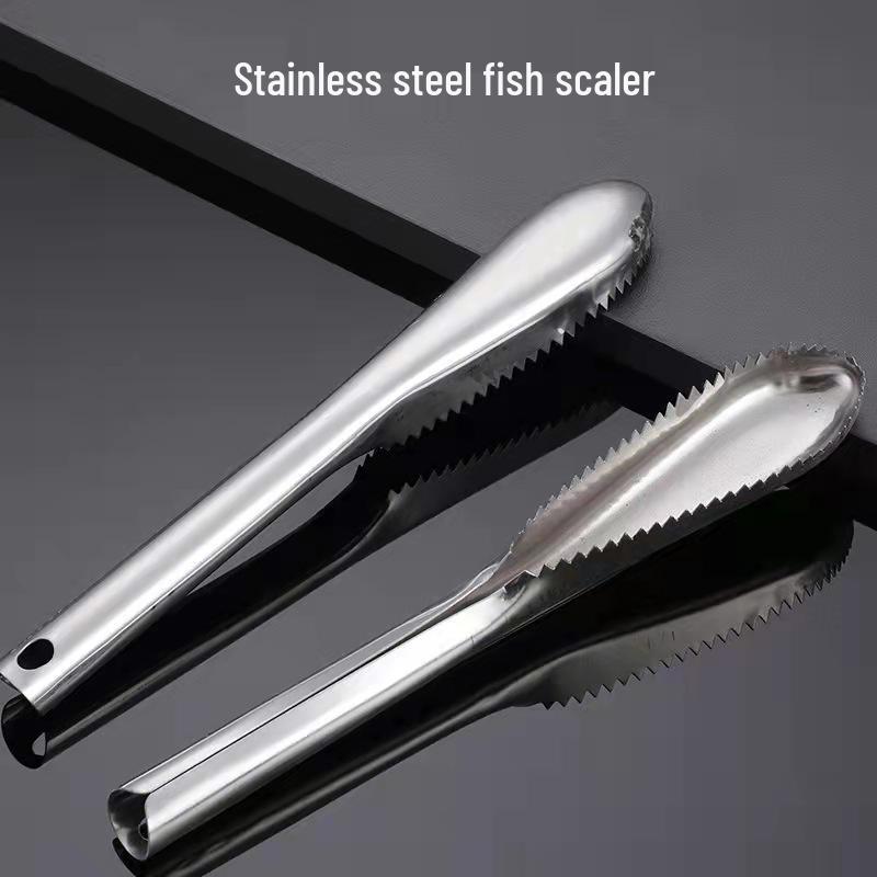 Stainless Steel Fish Scaler & Scraper Tool for Removing Fish Scales