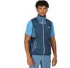 Lankin V Vest