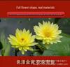 Blue Lotus Dried Flower, Sulfur-Free, Low-Temperature Baked for Tea or Oil, Outer Petals and Receptacle Removed.