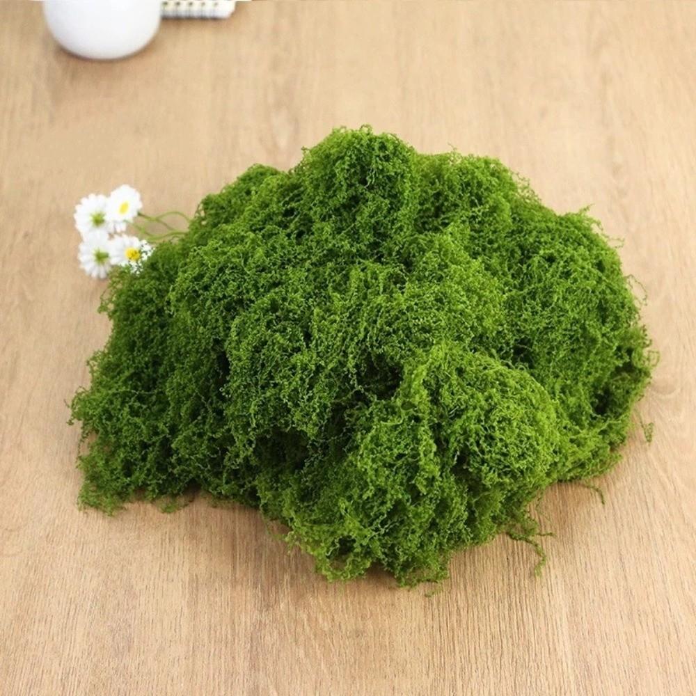 DIY Craft Faux Preserved Moss Polyester Simulation Green Moss Preserved Reindeer Moss Bonsai