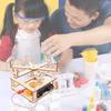 Wooden Diy Rotating Carousel Stem Educational Toy For Kids Handmade Science Experiment