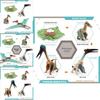 Jurassic Pterosaur T Rex Growth Cycle Model Pvc Educational Toy For Kids Science Learning