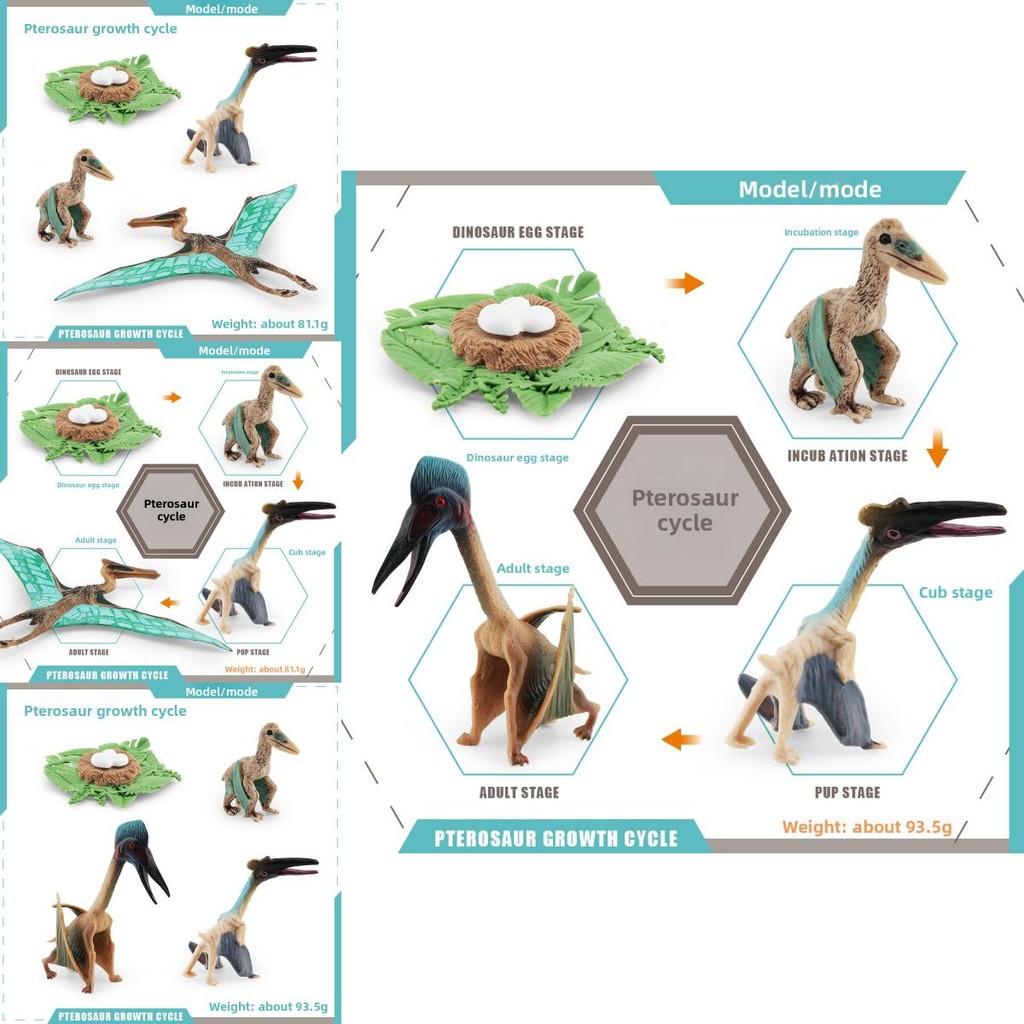 Jurassic Pterosaur T Rex Growth Cycle Model Pvc Educational Toy For Kids Science Learning
