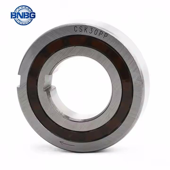 CSK One Way Clutch Bearing with Dual Keyway Clutch Backstop Bearing 8/10/12/15/17/20/25/30/35/40/PP Sizes - Industrial Bearing