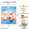Cross-border Simulation Animal Suction Toy: Butterfly, Rooster, Ant, Frog, Sea Turtle, Mosquito Growth Cycle Models