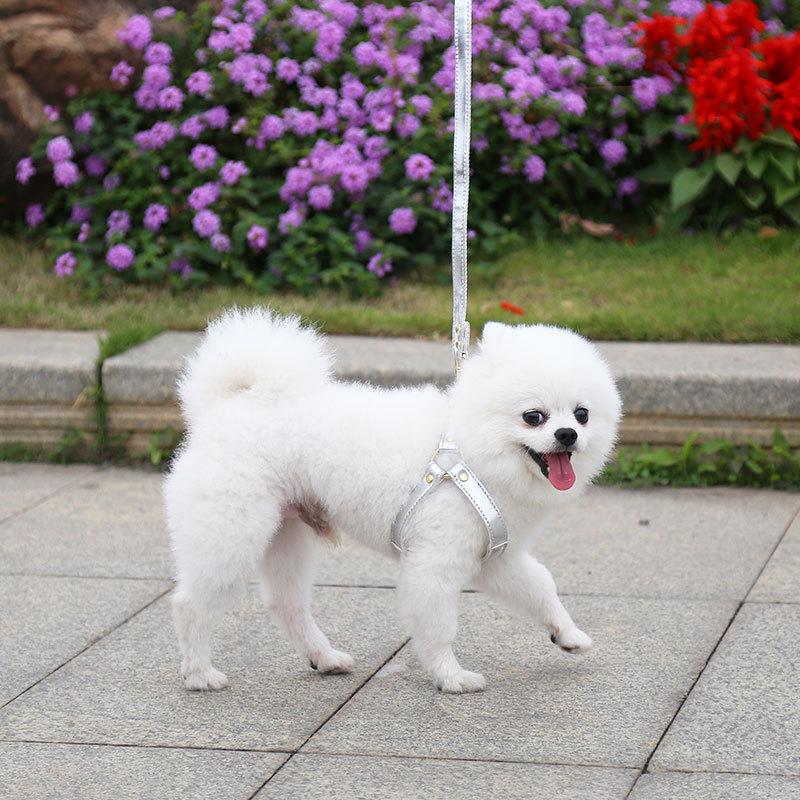 

Собака кошка нагрудный ремень поводок товары для животных выгул собак маленький средний большой собака французский бойцовый плюшевый M (suitable for pets within 8kg)