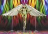Tamashi Nations Wonder Woman 1984 Golden Armor BandaiSpirits - - (WW84), S.H.Figuarts