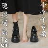 Thick Sole Inner Height Increase Round Head Mary Jane Shoes Women's Spring New Versatile Small Leather Shoes Light Mouth Thick Heel Loafer Single