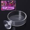  Shrimp Feeding Dish with Sucker Glass Bowls Round Tray Aquarium Fish Feeder