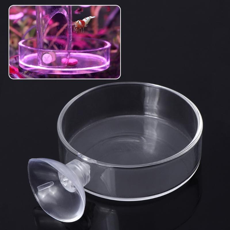  Shrimp Feeding Dish with Sucker Glass Bowls Round Tray Aquarium Fish Feeder