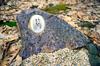 Afghan Hound, Tazi - Commemorative Plaque with a Photo of a Dog, Tombstone with a Print, Personalized Oval Plaque from the Art-Dog Brand