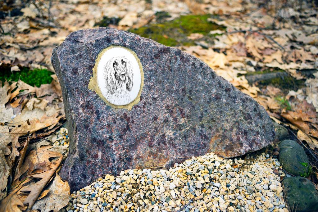 Afghan Hound, Tazi - Commemorative Plaque with a Photo of a Dog, Tombstone with a Print, Personalized Oval Plaque from the Art-Dog Brand